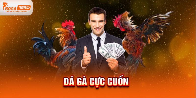 Đá gà cực cuốn